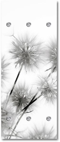 Queence Garderobe - "Dandelion" Druck auf hochwertigem Arcylglas inkl. Edelstahlhaken und Aufhängung, Format: 50x120cm