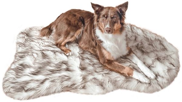 Wahre Tierliebe Tierbett Orthopädisches Hundebett Relax, Kissen mit echter Matratze, waschbar