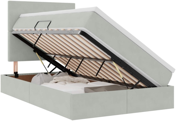 vidaXL Aufbewahrungsbett mit Matratze Hellgrau 120 x 200 cm Samt 3371961