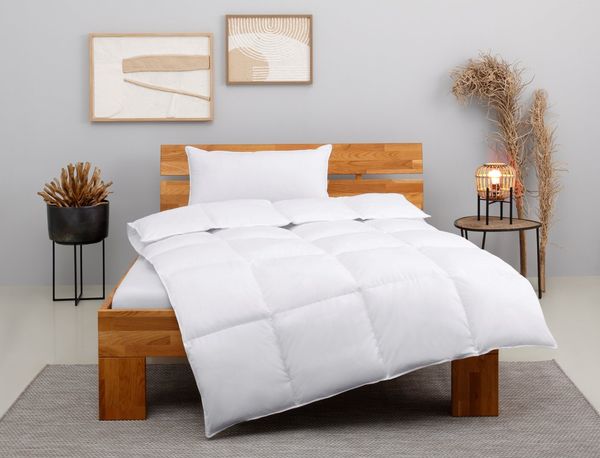 OTTO home Kunstfaserbettdecke + Kopfkissen Taylore Set: 1 Bettdecke 135x200 cm & 1 Kissen 80x80 cm oder 40x80 cm, Füllung: 100% Polyester, Bezug: 100% Baumwolle, Sommer, Herbst & Winter