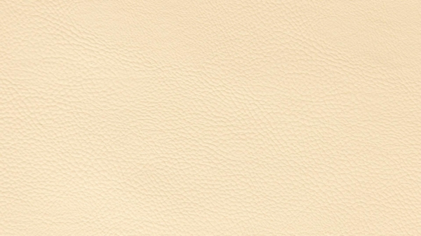 Meisterbetten Boxspringbett Kimm 180x220 in KL-Vanille, Matratzenbezug Nano, Ergoflex-Topper Bild 2