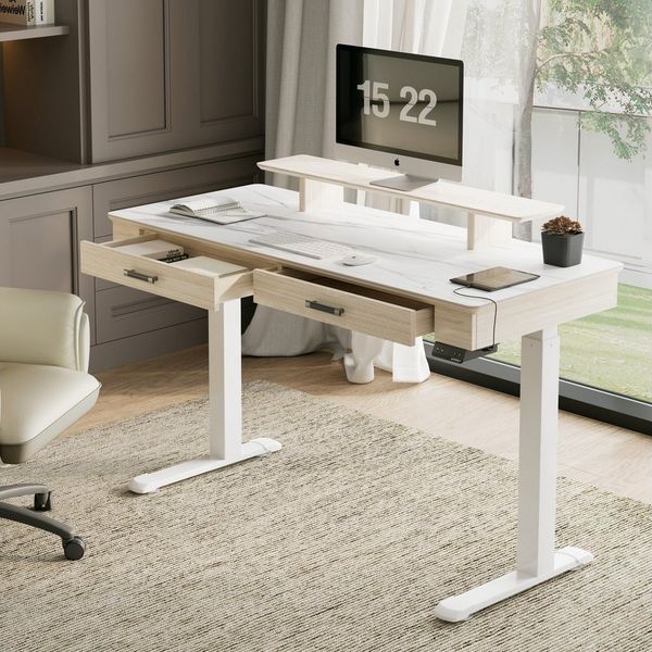 EE EUREKA ERGONOMIC Schreibtisch Höhenverstellbarer Computertisch Elektrisch Doppelmotor Ergonomischer, 140x60cm APP-Steuerung Großer Gamingtisch mit Doppelschublade Stehpult