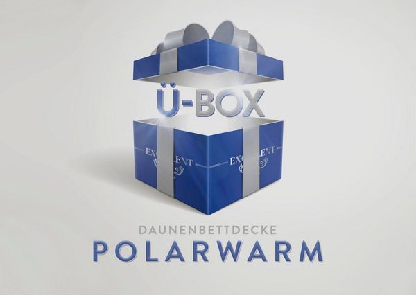 Excellent Daunenbettdecke Überraschungsbox, Füllung: 90% Daunen, 10% Federn, Bezug: Baumwolle, absoluter Sonderpreis, wegen Lagerräumung, Solange der Vorrat reicht