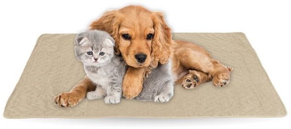 Bestlivings Tierdecke gesteppte Haustierdecke S-XL, Polyester, Haustiermatte - perfekt für Katzen bis große Hunde - Steppdecke