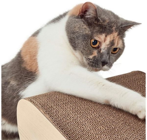 CanadianCat Kratzbrett Satellite 2.0 L 76 x B 24 x H 15 cm beige Bild 4