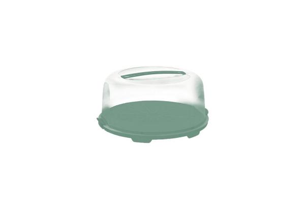 Rotho Tortenglocke Fresh hoch grün, Kuchenbehälter, Kuchenbox Tortenbox