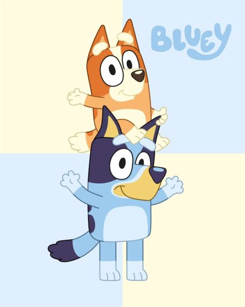 Bluey Korallenfleece Decke 120x150 cm Kuscheldecke weich Wohndecke