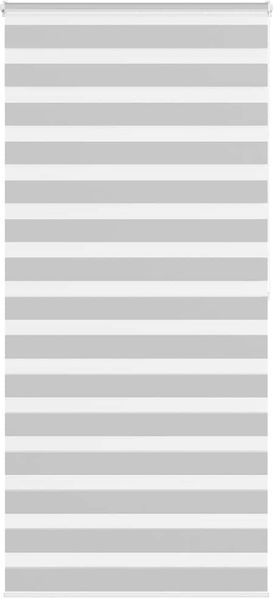 vidaXL Doppelrollo Hellgrau 100x200 cm Stoffbreite 95,9 cm Polyester 4014469