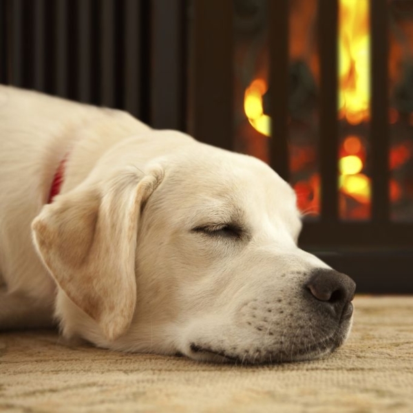 Braunes Absperrgitter mit Tür 92 cm hoch 10039199 Bild 6