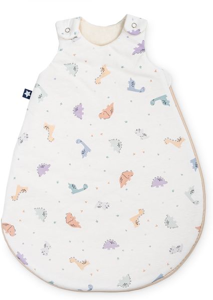 Julius Zöllner Babyschlafsack Sky Little Dinos 62/68