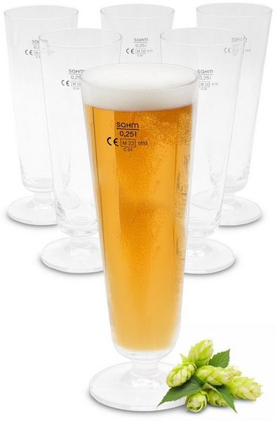 Spetebo Bierglas Bierglas 250 ml aus Klarglas - 6er Set, Glas, Bierglas 0,3 Liter spülmaschinenfest