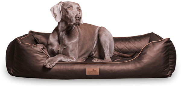 LOUIS Kunstleder gesteppt Orthopädisches Hundebett - 80x60cm, 01 Braun