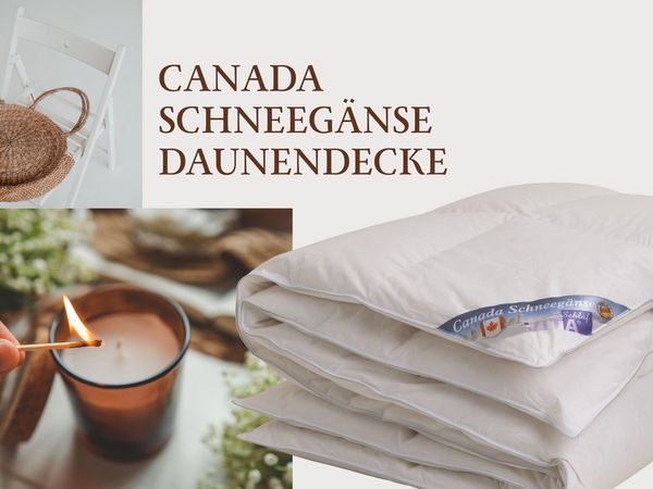 Vitaschlaf Gänsedaunenbettdecke Vitaschlaf® CANADA SCHNEEGÄNSE Bettdecken für Sommer Winter Ganzjahr, Füllung: 100% Gänsedaunen, alle Wärmestufen, Bezug: 100% Baumwolle feinster Maco Batist, Bettdecke 135x200 cm, 155x220 cm und weitere Größen, Made in ...