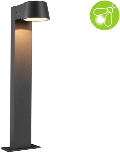 Paulmann 94715 LED Pollerleuchte Capea Anthrazit IP44 Goldlicht 50cm