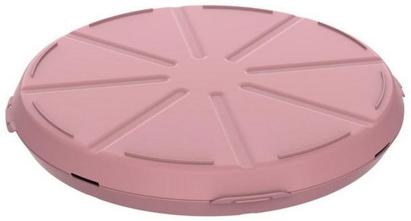 elasto Aufbewahrungssystem Pizzabox 'ToGo' robuste Transportbox Ø 36 cm für unterwegs