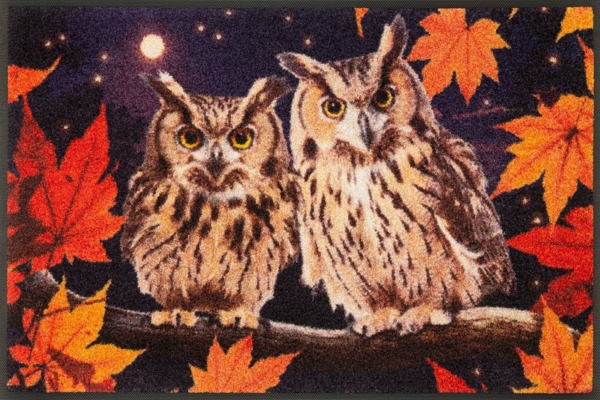 wash+dry by Kleen-Tex Fußmatte Night Owls, rechteckig, Höhe: 7 mm