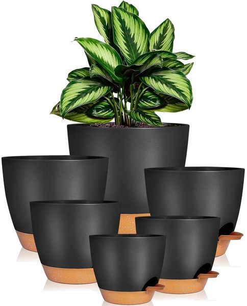 iDattel Selbstbewässerung Blumentopf Set 6er Sukkulenten Kräutertopf Schwarz
