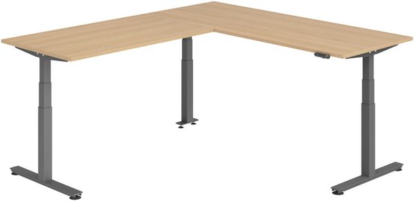 bümö Eckschreibtisch elektrisch höhenverstellbar L-Form: 200 x 240 cm in Eiche, Gestell graphit - Stehschreibtisch mit Memory-Steuerung, elektrischer XXL Schreibtisch für die Ecke, XDSMW-2016-E-G