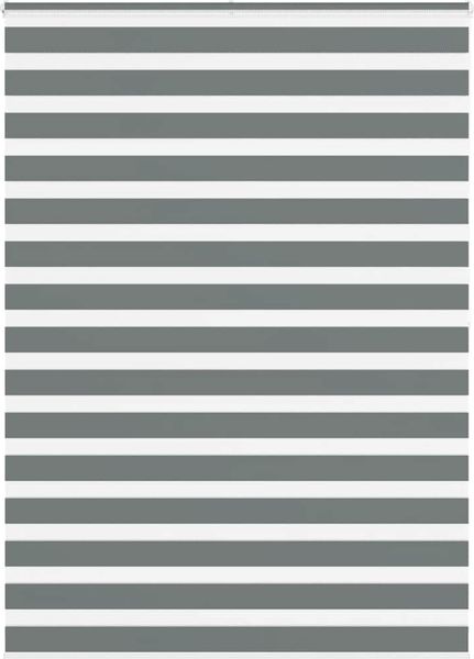 vidaXL Doppelrollo Dunkelgrau 160x200 cm Stoffbreite 155,9 cm Polyester 4014169