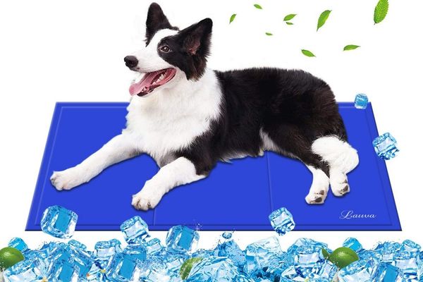 LA CUTE Hundematte Selbstkühlende Haustiermatte für Hunde & Katzen, 90x50 cm, Selbstkühlende Matte mit druckaktiviertem Gel, wasserabweisend