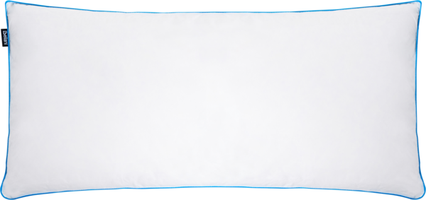 Kopfkissen ANETO Niedrig Entenfedern und Daunen 40 x 80 cm Weiß