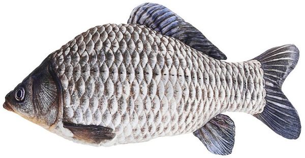 CEPEWA Dekokissen Kissen Fisch Shape 62x30x12cm Polyester bedruckt Fischform Fotodruck
