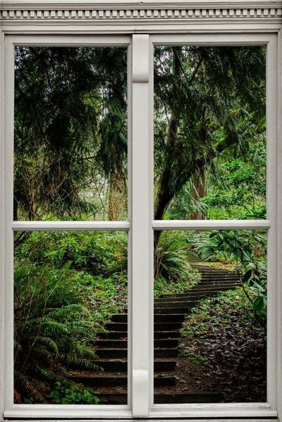 queence Wandsticker Treppe im Wald, Wandsticker, Wandbild, selbstklebend, 3D, Fenster
