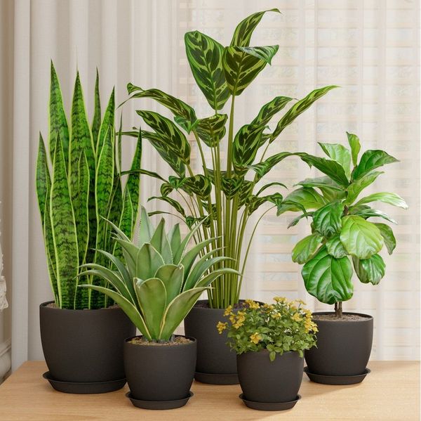 Bamworld Blumentopf 5er Set Blumentöpfe mit Löchern & Untersetzern, Kunststoff Schwarz (5 St), Verschiedene Größen für drinnen & draußen, modern & vielseitig
