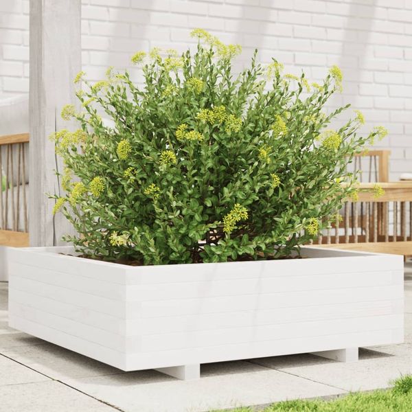 vidaXL Pflanzkübel Weiß 80x80x26,5 cm Massivholz Kiefer 847309