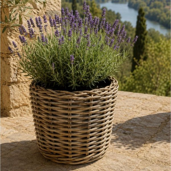 Van der Leeden Blumentopf Blumenkorb Blumentopf Pflanzkübel Rattan Weide Sylter Korb Drypot (1 St), 34x30 cm, Rattan, 11 L, Naturprodukt, incl. Kunststoffeimer