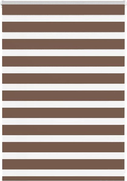 vidaXL Doppelrollo Braun 105x100 cm Stoffbreite 100,9 cm Polyester 4014314