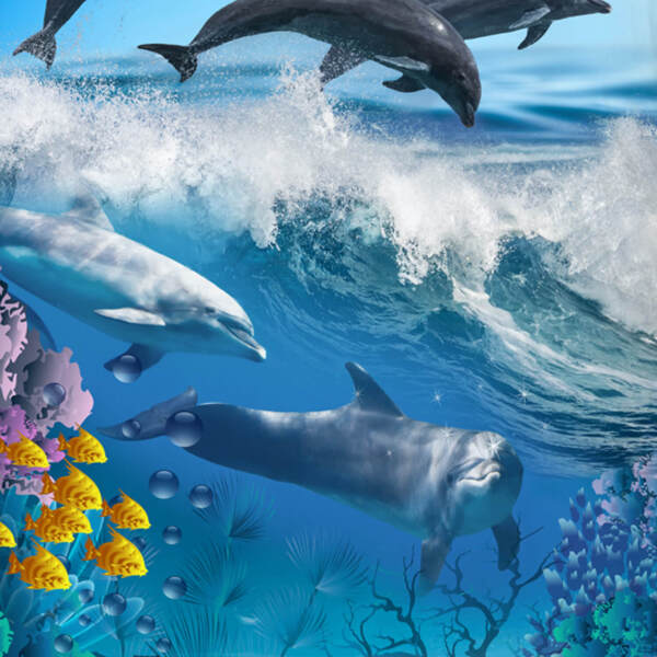 ESPiCO Bettwäsche Trendy Bedding Delfine multi Renforcé 135 x 200 + 80 x 80 cm Bild 4