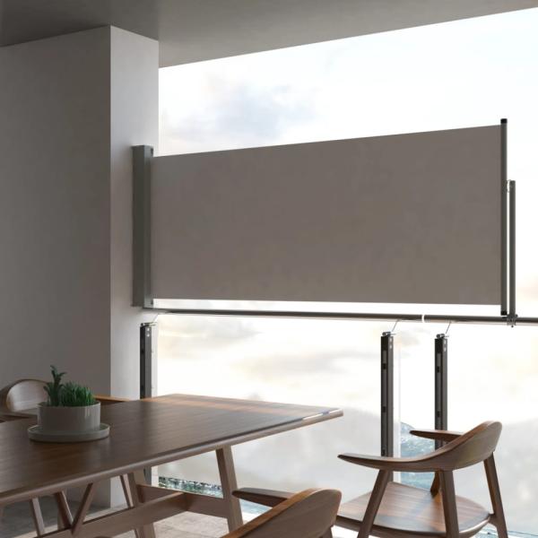 vidaXL Ausziehbare Seitenmarkise 100x300 cm Grau 45186