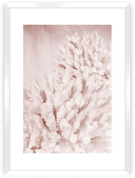 Dekoria Poster Pastel Pink II
