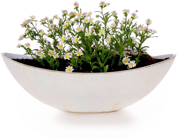 matches21 HOME & HOBBY Blumentopf Große Vintage Outdoor Pflanzschale oval 34 cm creme-weiss (1 St), Längliche Deko-Schale als wetterfeste Garten-Deko Blumen-Schale
