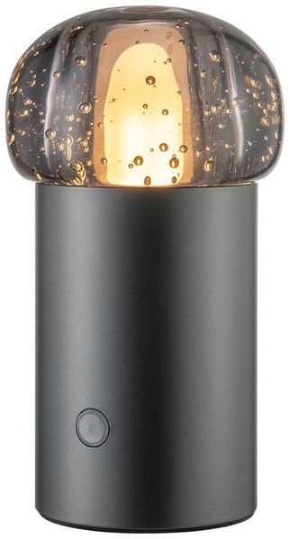 blomus LED Tischleuchte -IRIS- Mobile Akku LED-Leuchte: Dimmbar & Wetterfest für Innen & Außen, LED fest integriert, Warmweiß, Tageslichtweiß, Kaltweiß, Designerleuchte, Mobil, Akku, Dimmbar, 47 Std, 2700K bis 4000K, IP54