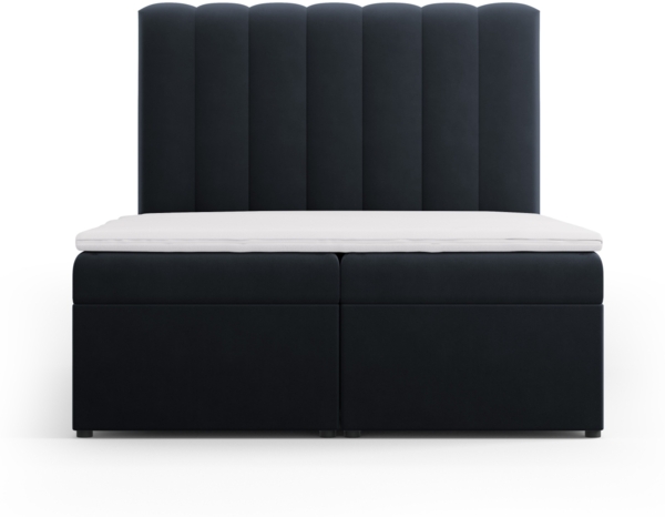Micadoni Boxspringbett Kelp Samt Dunkelblau 140x200