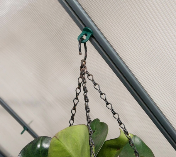 Palram - Canopia Aluminium Gewächshaus Oasis Set | Bild 7