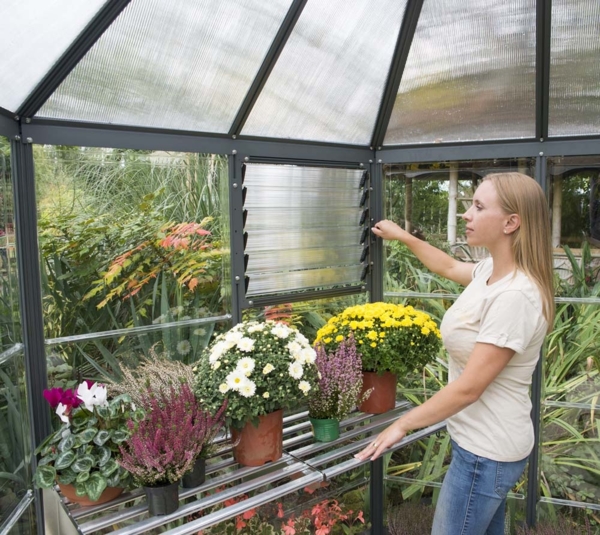 Palram - Canopia Aluminium Gewächshaus Oasis Set | Bild 3