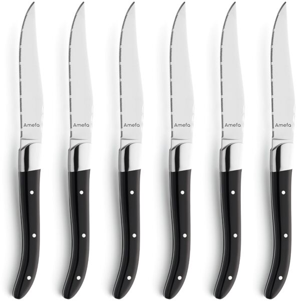 Amefa ROYAL STEAK Steakmesser Set 6-teilig schwarz hochglanzpoliert