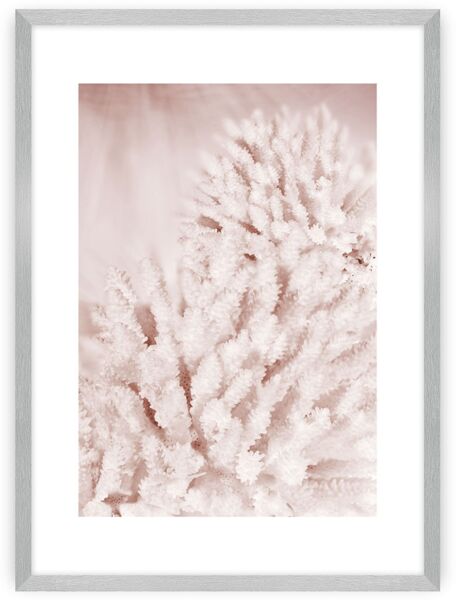 Dekoria Poster Pastel Pink II