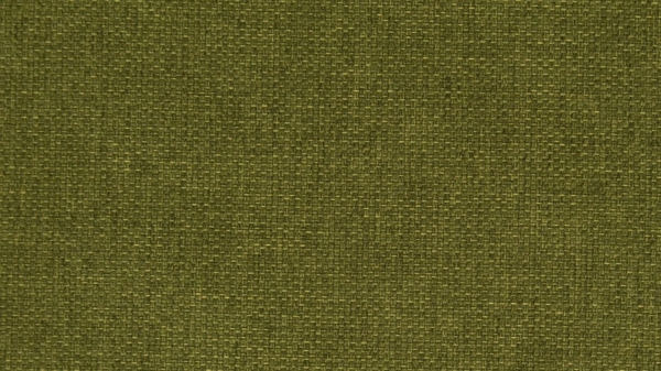 Meisterbetten Boxspringbett Babo 140x200 in WT-Grasgrün, Matratzenbezug Nano, Komfortschaum-Topper Bild 2