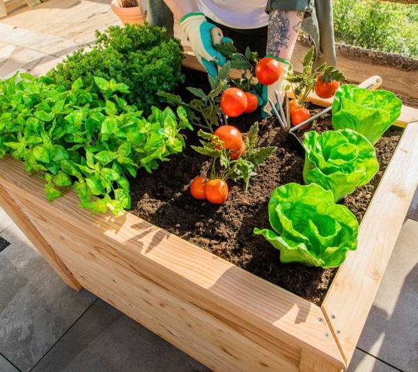 Westmann Lärchenholz Hochbeet Klassik 100 | Natur Bild 3