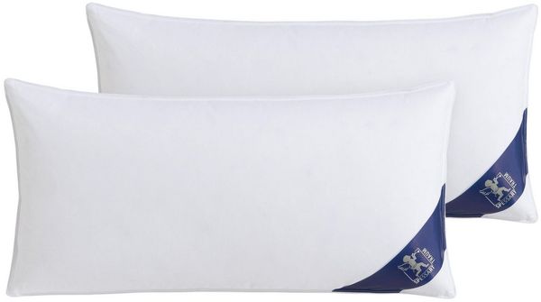 SPESSARTTRAUM Gänsefederkopfkissen Premium, Kopfkissen 1-tlg. oder 2-tlg. 40x80 oder 80x80 cm, Füllung: 85% Gänsefedern / 15% Gänsedaunen, Klasse 1, Downpass zertifiziert, Bezug: 100% Baumwolle, Made in Green, Hausstauballergiker geeignet, hergestellt ...