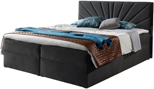 Boxspringbett Trifoli IV, Dunkelgrau, 160 x 200 cm