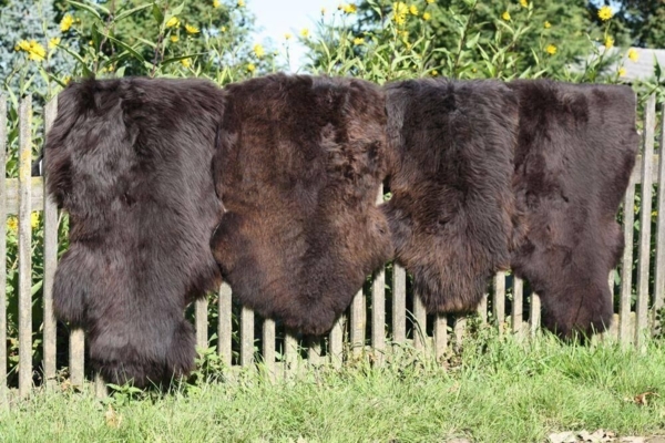 Lammfell Natur Farben Farbe: Espresso | Größe: 120-130 Bild 6