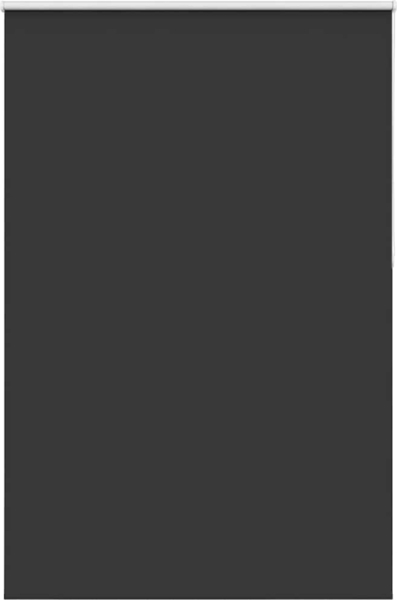 vidaXL Verdunkelungsrollo Schwarz 150x210 cm Stoffbreite 146,6 cm 4010930