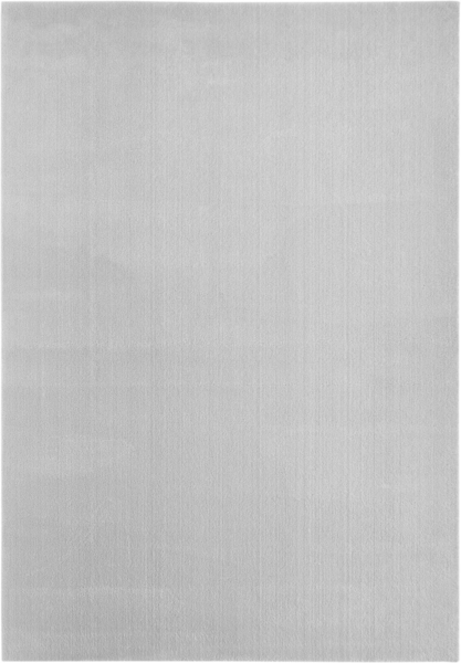 Flachwebteppich Bartolo 160 x 230 cm grau