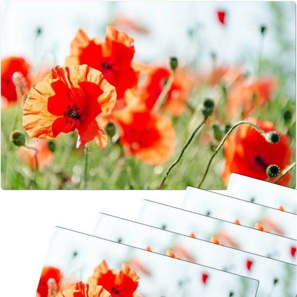 matches21 HOME & HOBBY Platzset Abwaschbare Tischsets 6er Set Sommer Mohn-Blumen, (6-St), Platzsets als Tisch-Untersetzer und Tisch-Deko für Esstisch Teller