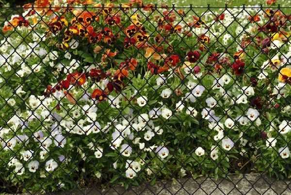Garden 'N' More Maschendraht Zaunset anthrazit, Länge: 15m, Höhe: 125 cm
